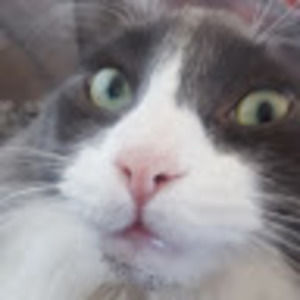 Meet your Posher, Ekaterina